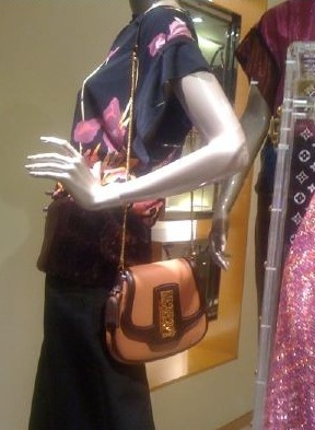 Louis Vuitton bag