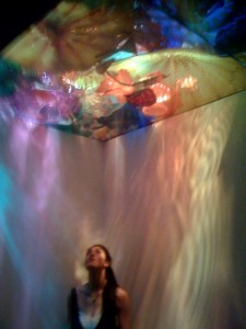 Chihuly Exhibit